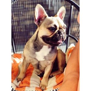 Meet your Posher, Megan